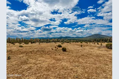 4 N 3163, Vernon, AZ 85940 - Photo 6