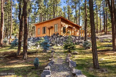 24 County Rd 2267, Alpine, AZ 85920 - Photo 44