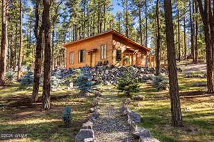 24 Co Rd 2267, Alpine, AZ 85920 - Photo 44