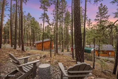 24 County Rd 2267, Alpine, AZ 85920 - Photo 32