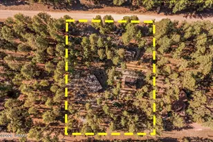 24 Co Rd 2267, Alpine, AZ 85920 - Photo 58