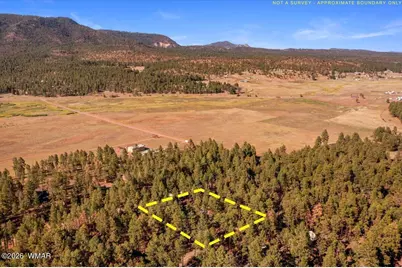 24 County Rd 2267, Alpine, AZ 85920 - Photo 54