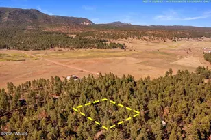 24 Co Rd 2267, Alpine, AZ 85920 - Photo 54