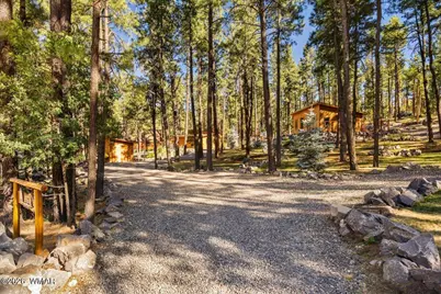 24 County Rd 2267, Alpine, AZ 85920 - Photo 48
