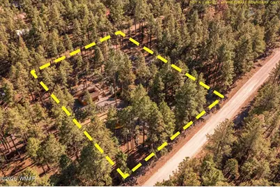 24 County Rd 2267, Alpine, AZ 85920 - Photo 56