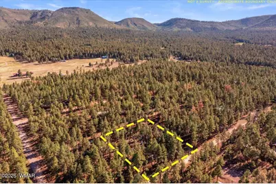 24 County Rd 2267, Alpine, AZ 85920 - Photo 60