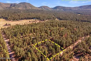 24 Co Rd 2267, Alpine, AZ 85920 - Photo 60