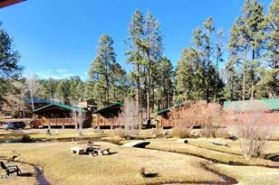 Cabin 89 Rohrer Rd, Greer, AZ 85927 - Photo 20