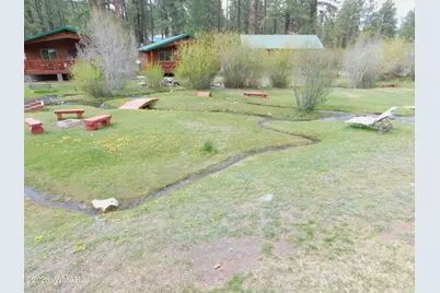Cabin 89 Rohrer Road, Greer, AZ 85927 - Photo 22