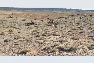 986 Concho Highway, Concho, AZ 85924 - Photo 12