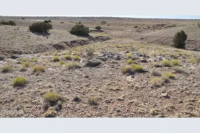 986 Concho Highway, Concho, AZ 85924 - Photo 8