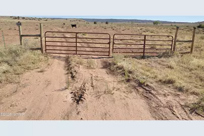 986 Concho Highway, Concho, AZ 85924 - Photo 2