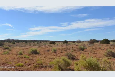 594 W Antelope Road, Snowflake, AZ 85937 - Photo 2
