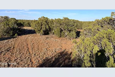 9070 Pinto Trail, Show Low, AZ 85901 - Photo 2
