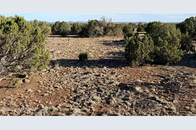 9070 Pinto Trail, Show Low, AZ 85901 - Photo 4