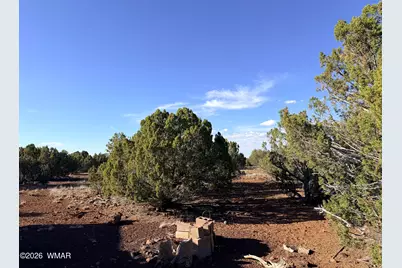 9070 Pinto Trail, Show Low, AZ 85901 - Photo 8