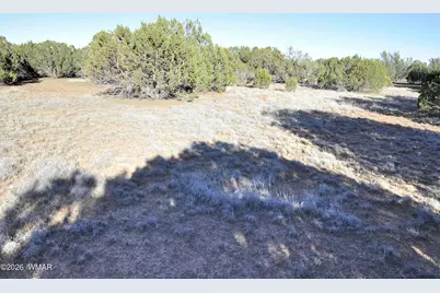 17C Gampel Lane, Show Low, AZ 85901 - Photo 18
