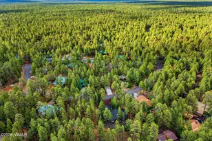 6346 Christmas Tree Cir, Pinetop, AZ 85935 - Photo 46