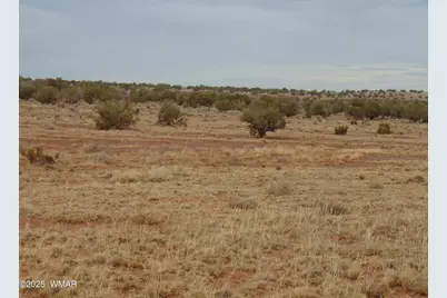 42 N5576, Concho, AZ 85924 - Photo 20