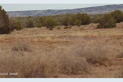 42 N5576, Concho, AZ 85924 - Photo 1