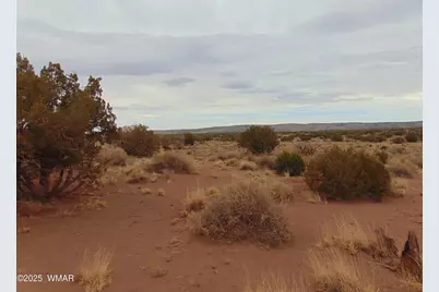 42 N5576, Concho, AZ 85924 - Photo 4