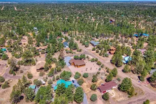 2979 Arrowhead Dr, Overgaard, AZ 85933 - Photo 26