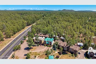 93 E White Mountain Blvd, Pinetop, AZ 85935 - Photo 22