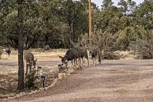 2207 4 Point Cir, Overgaard, AZ 85933 - Photo 48