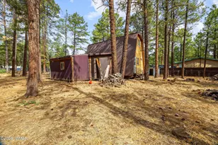 2861 Angel Trail, Overgaard, AZ 85933 - Photo 14