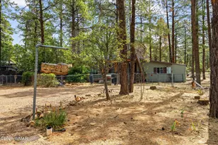 2861 Angel Trail, Overgaard, AZ 85933 - Photo 20