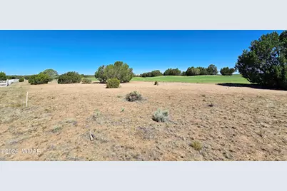 8410 Lake View Drive, Show Low, AZ 85901 - Photo 8