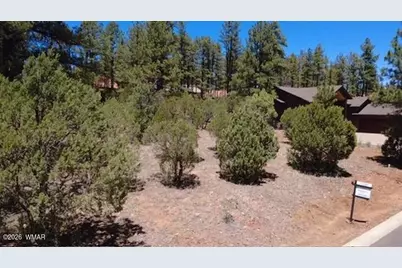 1180 S Lakeside Trail, Show Low, AZ 85901 - Photo 6