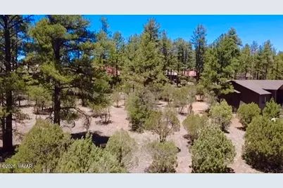 1180 S Lakeside Trail, Show Low, AZ 85901 - Photo 2
