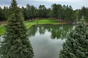 3417 Roaring Fork Dr, Pinetop, AZ 85935 - Photo 64