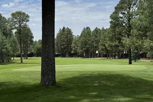 3417 Roaring Fork Dr, Pinetop, AZ 85935 - Photo 66