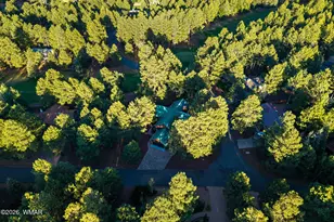 3417 Roaring Fork Dr, Pinetop, AZ 85935 - Photo 48