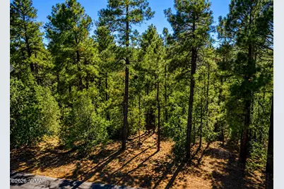 688 Pine Creek Drive, Lakeside, AZ 85929 - Photo 4