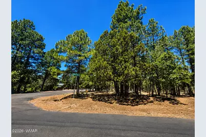 711 Pine Creek Drive, Lakeside, AZ 85929 - Photo 1