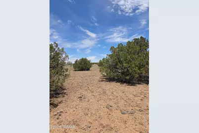 2385 White River Place, Show Low, AZ 85901 - Photo 8