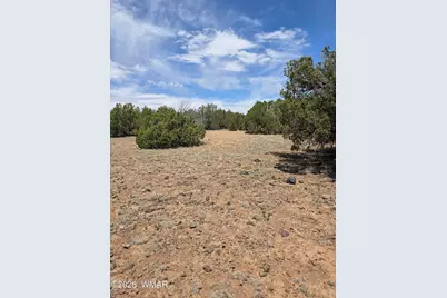 2385 White River Place, Show Low, AZ 85901 - Photo 4