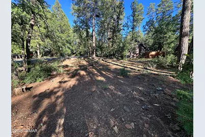 6001 Pitch Fork Lane, Pinetop, AZ 85935 - Photo 12