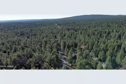 6001 Pitch Fork Lane, Pinetop, AZ 85935 - Photo 14
