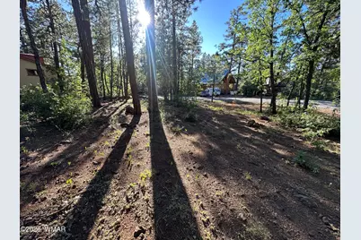 6001 Pitch Fork Lane, Pinetop, AZ 85935 - Photo 4