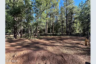 6001 Pitch Fork Lane, Pinetop, AZ 85935 - Photo 10