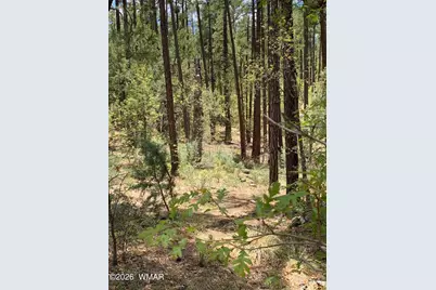 1400 W Manzanita Trail, Lakeside, AZ 85929 - Photo 6