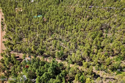 1400 W Manzanita Trail, Lakeside, AZ 85929 - Photo 10