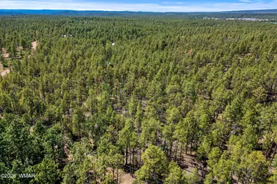1400 W Manzanita Trail, Lakeside, AZ 85929 - Photo 18