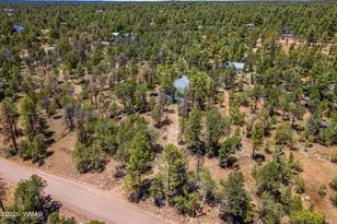 2142 Rimview Trail, Overgaard, AZ 85933 - Photo 32