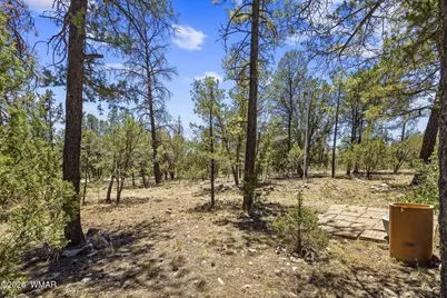 2142 Rim View Trail, Overgaard, AZ 85933 - Photo 26