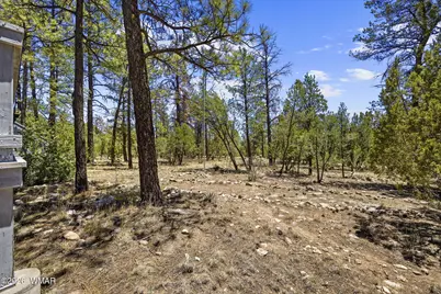 2142 Rim View Trail, Overgaard, AZ 85933 - Photo 4